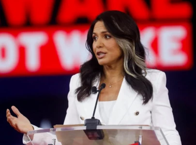 tulsi gabbard gives stark warning on kamala harris