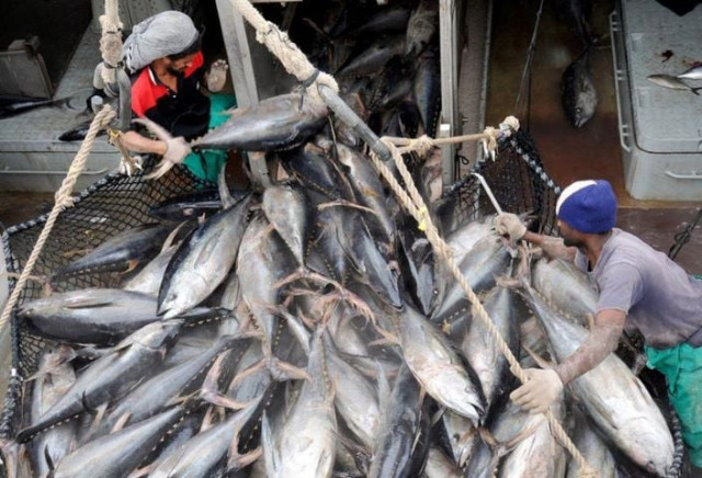 wto chief rebukes stalled fishing negotiations