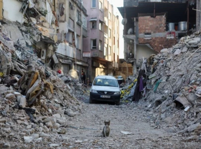 turkey and syria rocked again by 6 3 magnitude earthquake turkey and syria rocked again by 6 3 magnitude earthquake