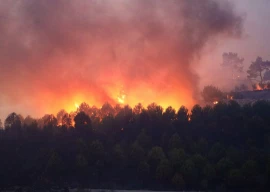 un weather body ties intensifying wildfires to global pollution rise un weather body ties intensifying wildfires to global pollution rise