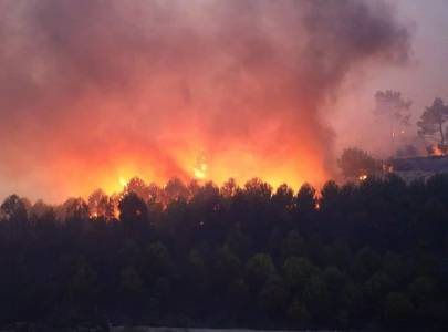 un weather body ties intensifying wildfires to global pollution rise un weather body ties intensifying wildfires to global pollution rise