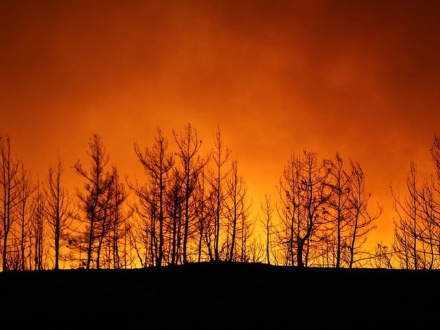 a file photo of a wildfire photo reuters