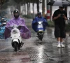 people ride electric scooters in the rain as typhoon bavi approaches in wenzhou zhejiang province china july 11 2026 photo reuters