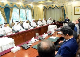 uae seeks to expand investment in pakistan