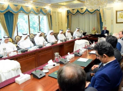 uae seeks to expand investment in pakistan