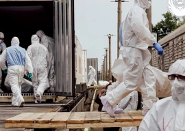 ukraine receives another 1 200 bodies from russia ukraine receives another 1 200 bodies from russia