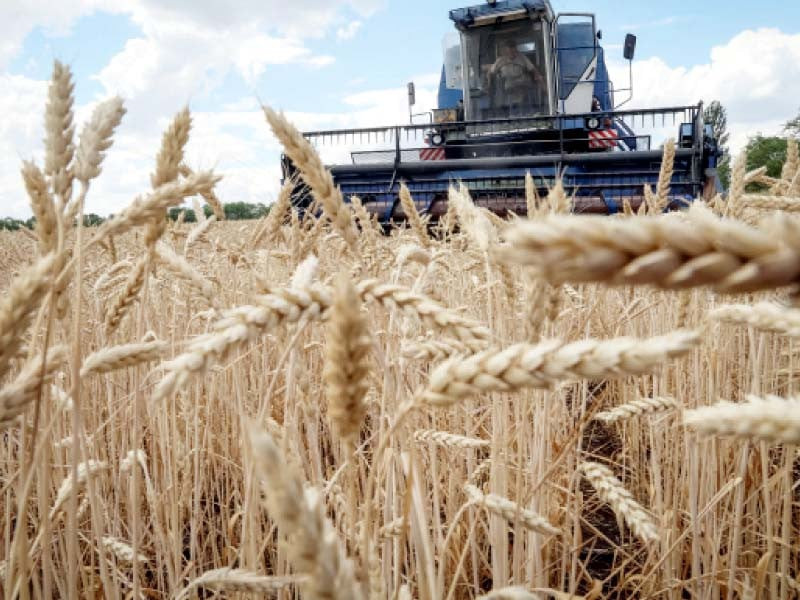 according to the european commission ukraine accounts for 10 of the world wheat market 15 of the corn market and 13 of the barley market photo reuters