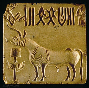 the enigma of the indus unicorn the enigma of the indus unicorn