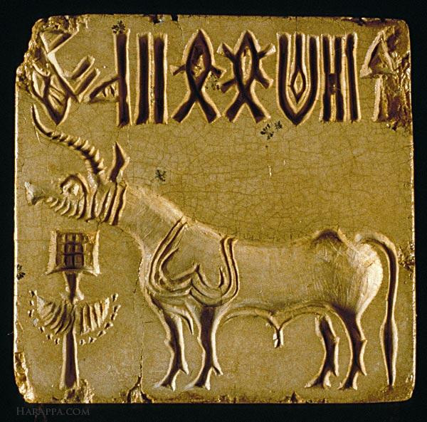 The enigma of the Indus Unicorn