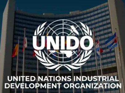 govt eyes unido help for industrial growth