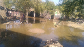 rains came and went water remains bane