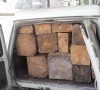 punjab intensifies crackdown on timber mafia to curb smog protect forests punjab intensifies crackdown on timber mafia to curb smog protect forests