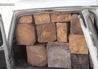 punjab intensifies crackdown on timber mafia to curb smog protect forests punjab intensifies crackdown on timber mafia to curb smog protect forests