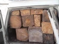 punjab intensifies crackdown on timber mafia to curb smog protect forests punjab intensifies crackdown on timber mafia to curb smog protect forests