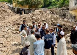 gates foundation donates 1m to who for pakistan flood relief gates foundation donates 1m to who for pakistan flood relief