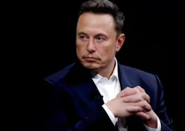 elon musk urges netflix boycott elon musk urges netflix boycott