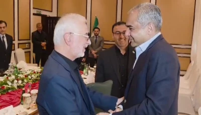 interior minister mohsin naqvi meets his iranian counterpart eskandar momeni in islamabad screengrab