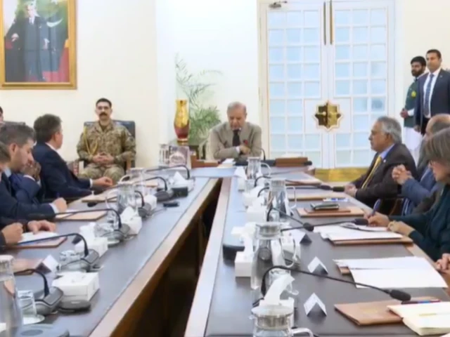 PM Shehbaz calls for greater global coordination on climate disasters in meeting with UN aid chief