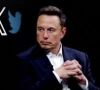 musk says disappointed by trump mega bill