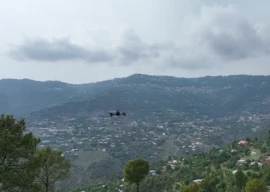 deforestation fuels flood risks