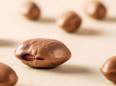 chocolate industry faces mounting supply threats from global warming report chocolate industry faces mounting supply threats from global warming report