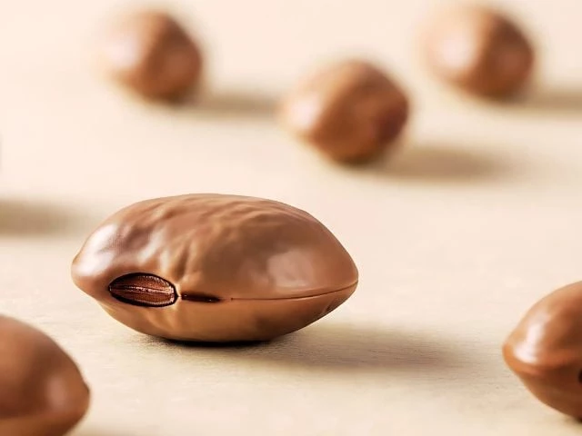 photo biodiversity loss and weak climate readiness expose eu s cocoa imports photo biodiversity loss and weak climate readiness expose eu s cocoa imports