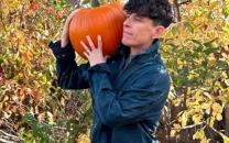 poet andrea gibson passes away poet andrea gibson passes away