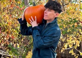 poet andrea gibson passes away poet andrea gibson passes away