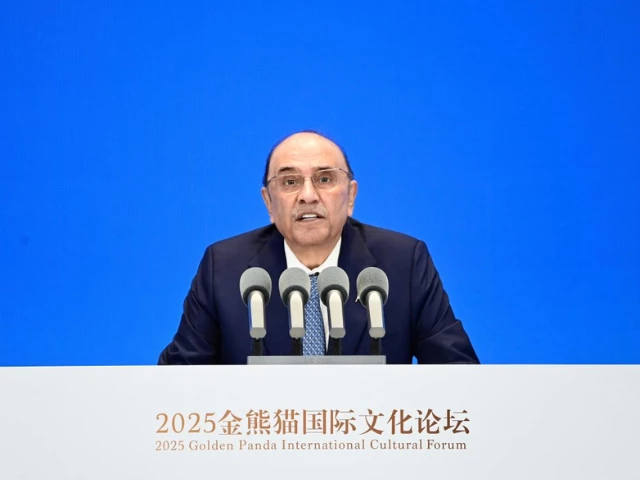 president asif ali zardari addressing the second golden panda awards international culture forum president asif ali zardari addressing the second golden panda awards international culture forum