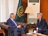 foreign minister ishaq dar holds meeting with chinese ambassador jiang zaidong photo x