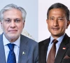foreign minister ishaq dar l singaporean foreign minister vivian balakrishnan r