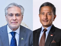 foreign minister ishaq dar l singaporean foreign minister vivian balakrishnan r