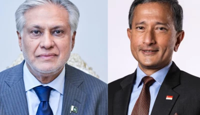 foreign minister ishaq dar l singaporean foreign minister vivian balakrishnan r