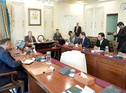 pm shehbaz approves streamlining of p3a to expedite development projects