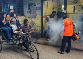 bangladesh dengue cases surge as death toll climbs in 2025 bangladesh dengue cases surge as death toll climbs in 2025