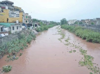 rain fed pindi areas to get new dams