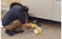 excise department seizes 20kg of ice in di khan raid suspect held excise department seizes 20kg of ice in di khan raid suspect held