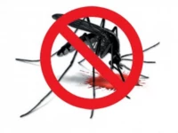 over 3 300 firs filed in dengue sop violations in rawalpindi murree over 3 300 firs filed in dengue sop violations in rawalpindi murree