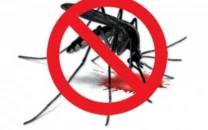 over 3 300 firs filed in dengue sop violations in rawalpindi murree over 3 300 firs filed in dengue sop violations in rawalpindi murree