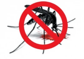 over 3 300 firs filed in dengue sop violations in rawalpindi murree over 3 300 firs filed in dengue sop violations in rawalpindi murree