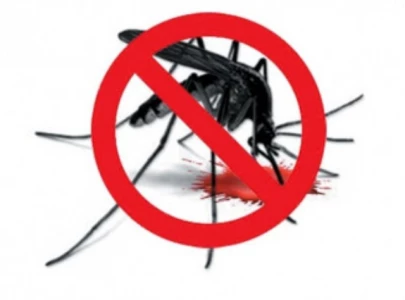 over 3 300 firs filed in dengue sop violations in rawalpindi murree over 3 300 firs filed in dengue sop violations in rawalpindi murree