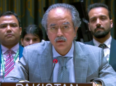 pakistan highlights gaza humanitarian crisis at un security council briefing pakistan highlights gaza humanitarian crisis at un security council briefing