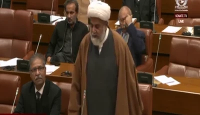 newly appointed senate opposition leader raja nasir abbas photo screengrab youtube senate of pakistan