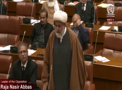 mwm chief raja nasir abbas appointed senate opposition leader