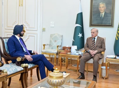 pm shehbaz holds talks with world bank president ajay banga pm shehbaz holds talks with world bank president ajay banga