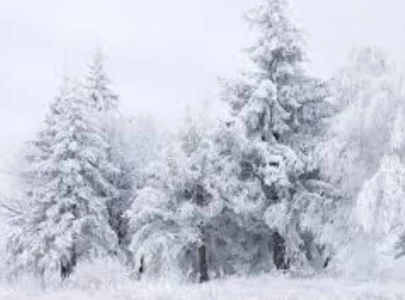 amtrak passenger captures narnia  like frozen gangway during new york deep freeze