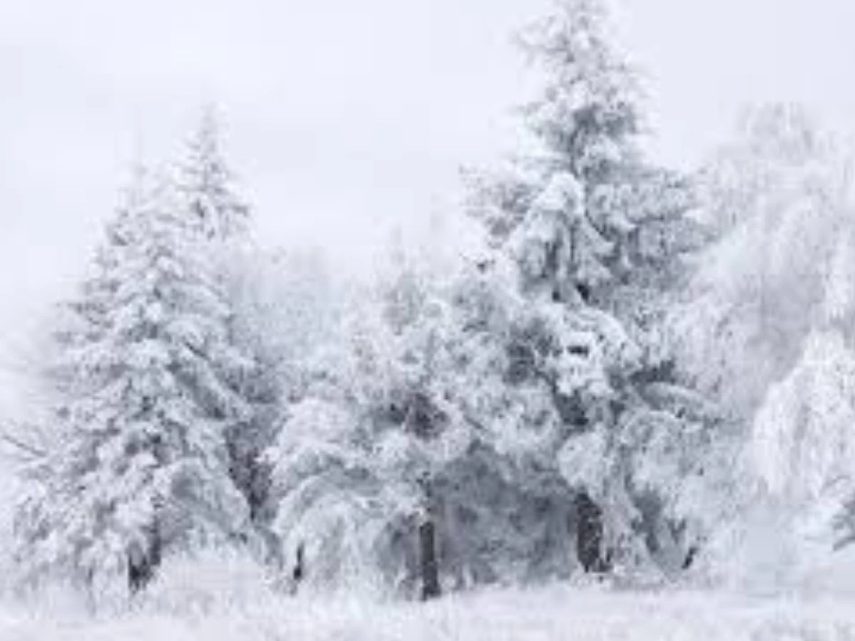 amtrak passenger captures narnia  like frozen gangway during new york deep freeze