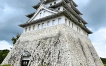 six story japanese castle goes up for sale but major repairs are needed