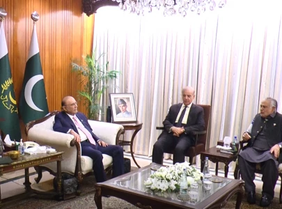 president zardari pm shehbaz hold meeting on national security regional situation