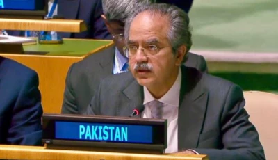 pakistan flags evolving nexus between terrorism technology